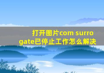 打开图片com surrogate已停止工作怎么解决